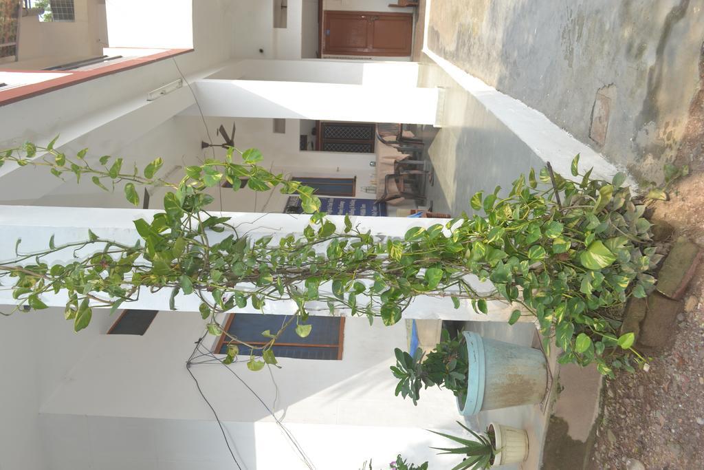 Mount Valley Mama Cottage Rishikesh Exterior photo